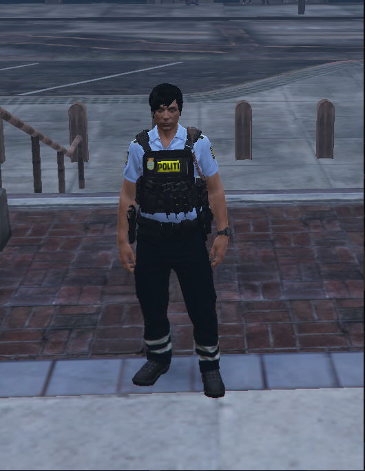 Danish Police Vest EUP 8 2 GTA 5 Mods