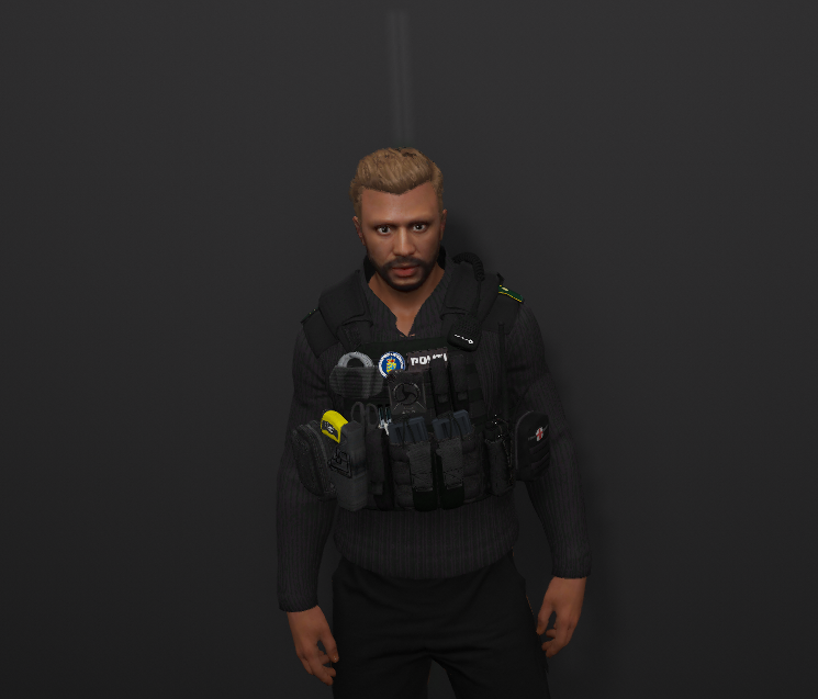 Danish Police Vest Gta Hub