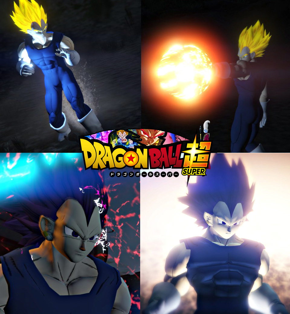 Dragon Ball Z Vegeta All In One Super Saiyan God Ssj Ssj