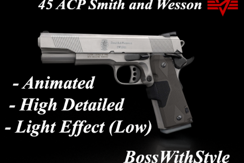 45ACP Smith & Wesson: A Guide