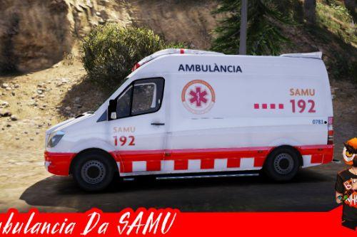 SAMU Ambulance: Replace Master