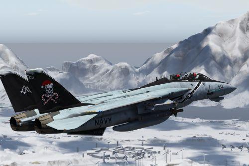 F-14D Super Tomcat: Ride it!