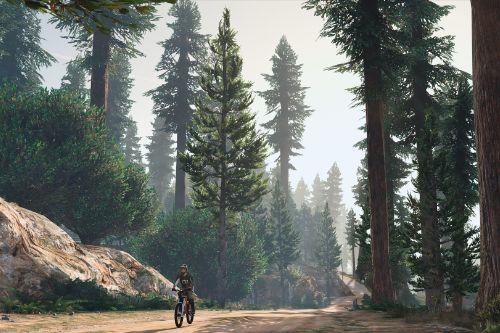 Explore San Andreas' Forest YMAPs!