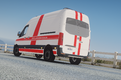 Lithuanian 2019 Mercedes Sprinter Ambulance