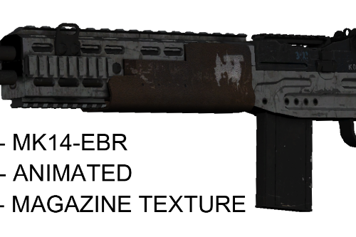 MK14 EBR Rifle: Ghosts Animations