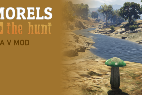 Morels: A Wild Hunt