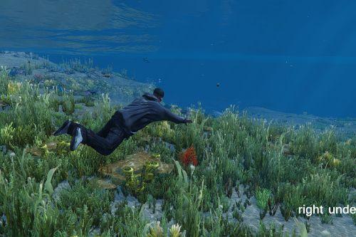 Dive Into a New Underwater World