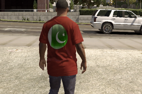 Pakistani Flag Shirt