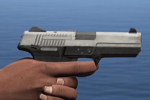 Ruger SR40: A Gun's Tale