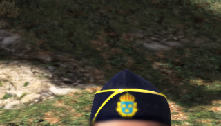 Swedish Police Player