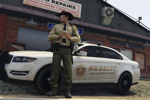 Vapid Sheriff Cruiser: Paint Jobs