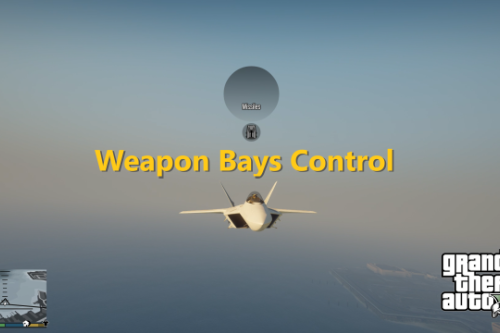 Weapon Bays Control