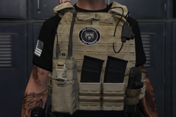 [EUP] SAST Vest Pack [SP / FIVEM] - Gta5-Hub.com