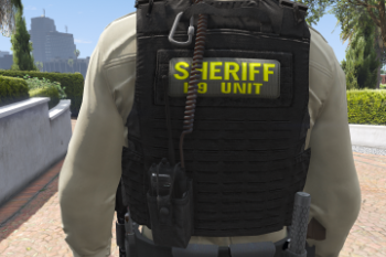 Realistic Vest Patches | GTA 5 Mods