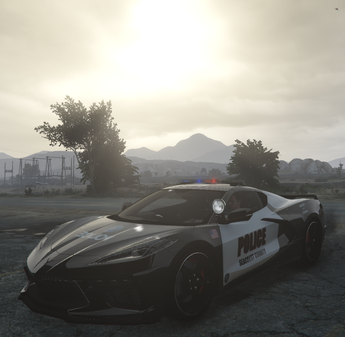 Corvette c8 gta 5 фото 70