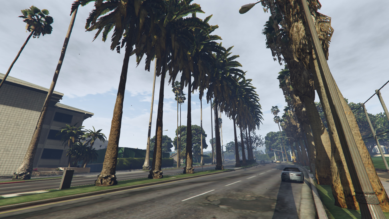 L.A.: More Palm Trees | GTA 5 Mods