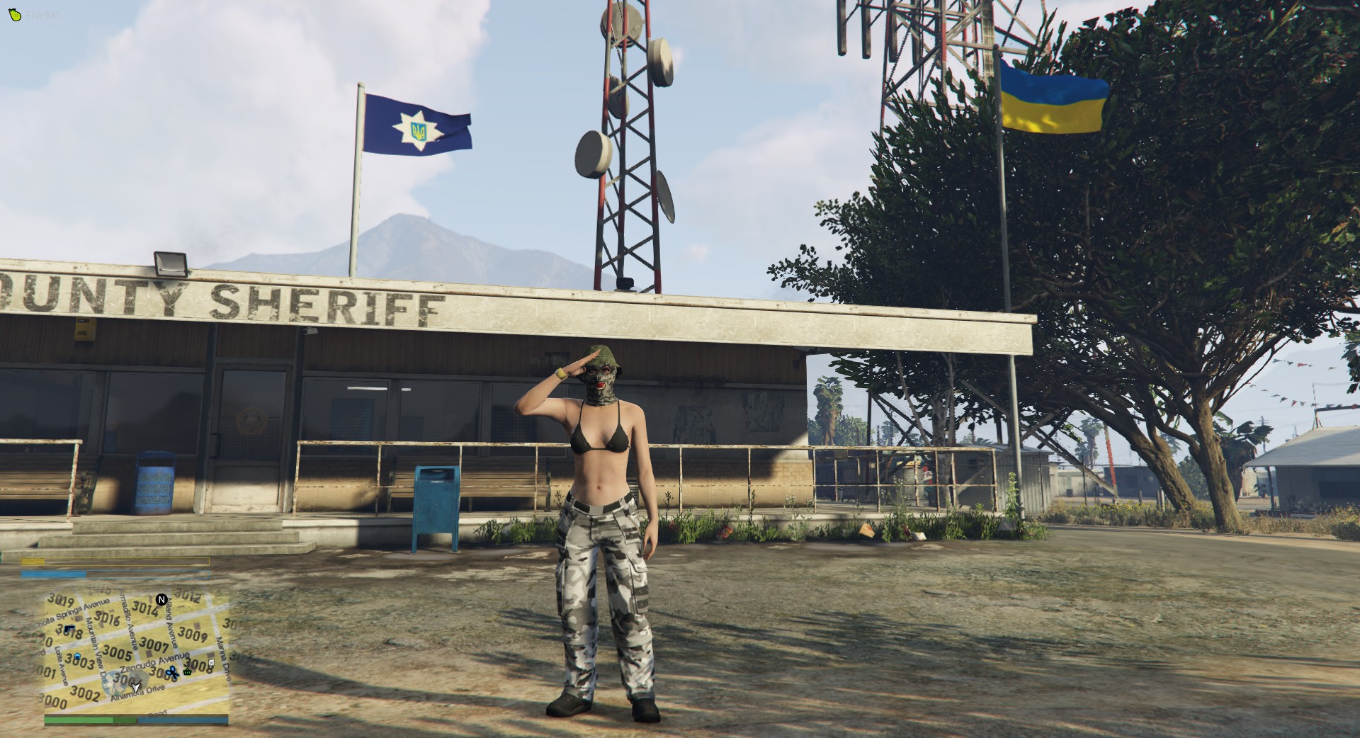 Fivem Flag Sp Fivem Gta 5 Mods - vrogue.co